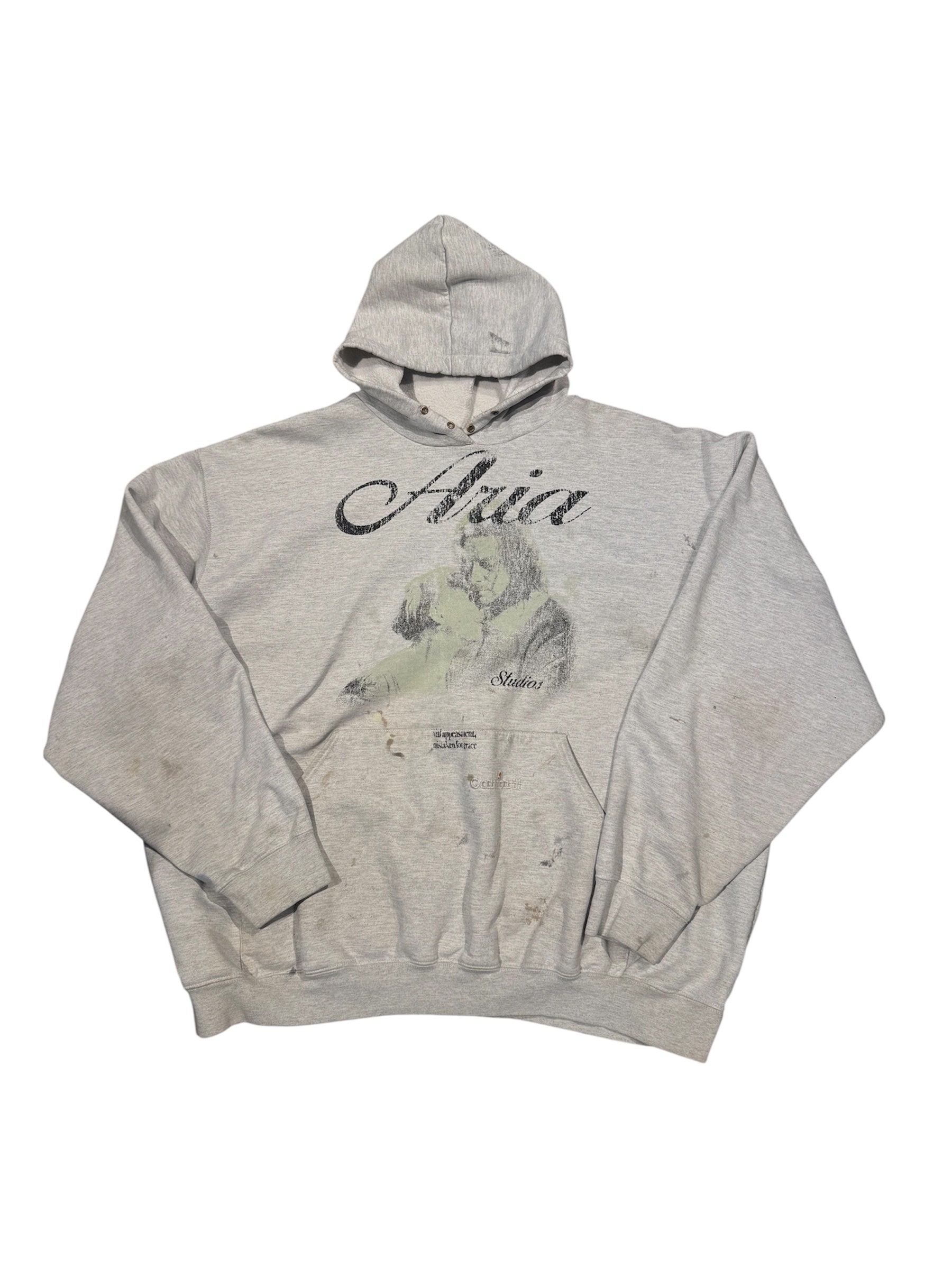 Aria Carhartt Grey Hoodie